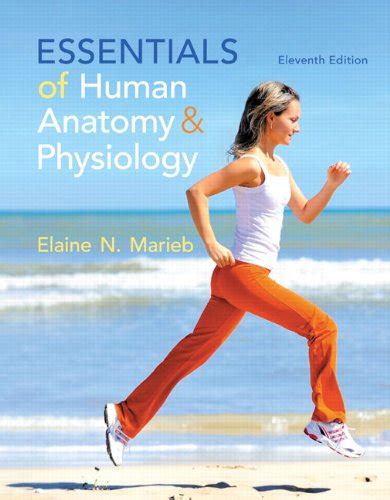 human anatomy and physiology 11th edition pdf|human anatomy and physiology 11th edition free pdf.